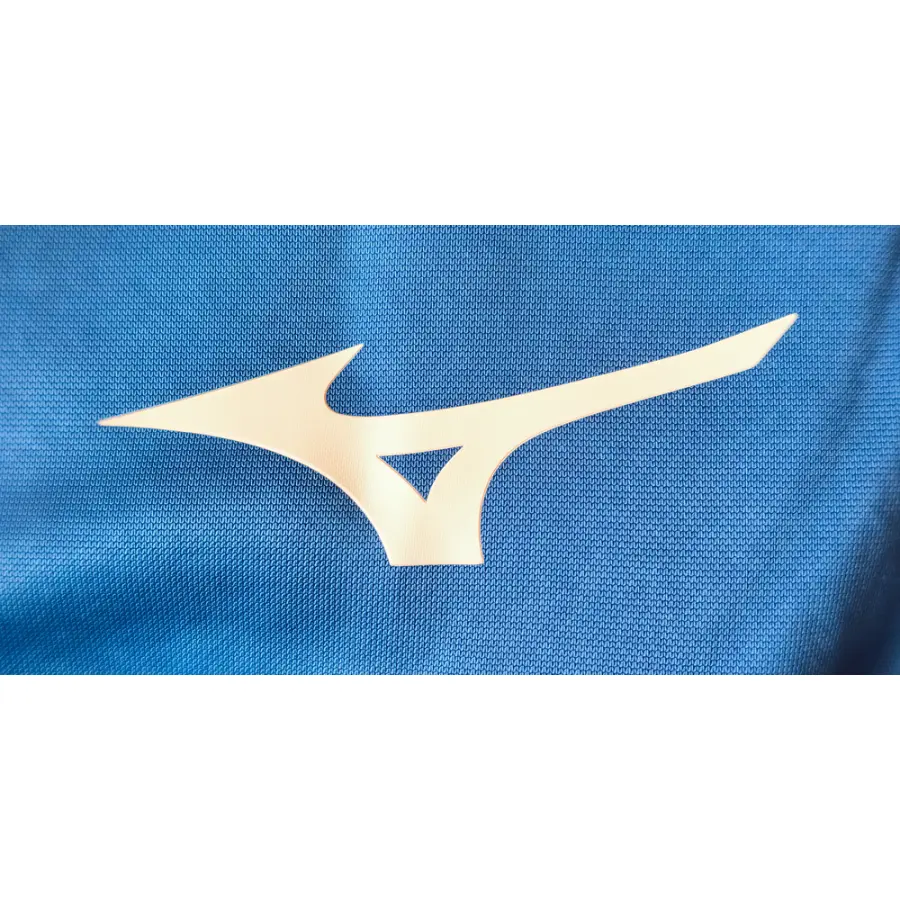 Mizuno Спортивные штаны Mizuno